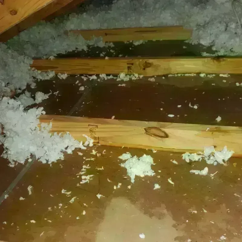 Attic Water Damage in Parsonsfield, ME